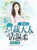 《一胎双宝:总裁大人,请温柔》